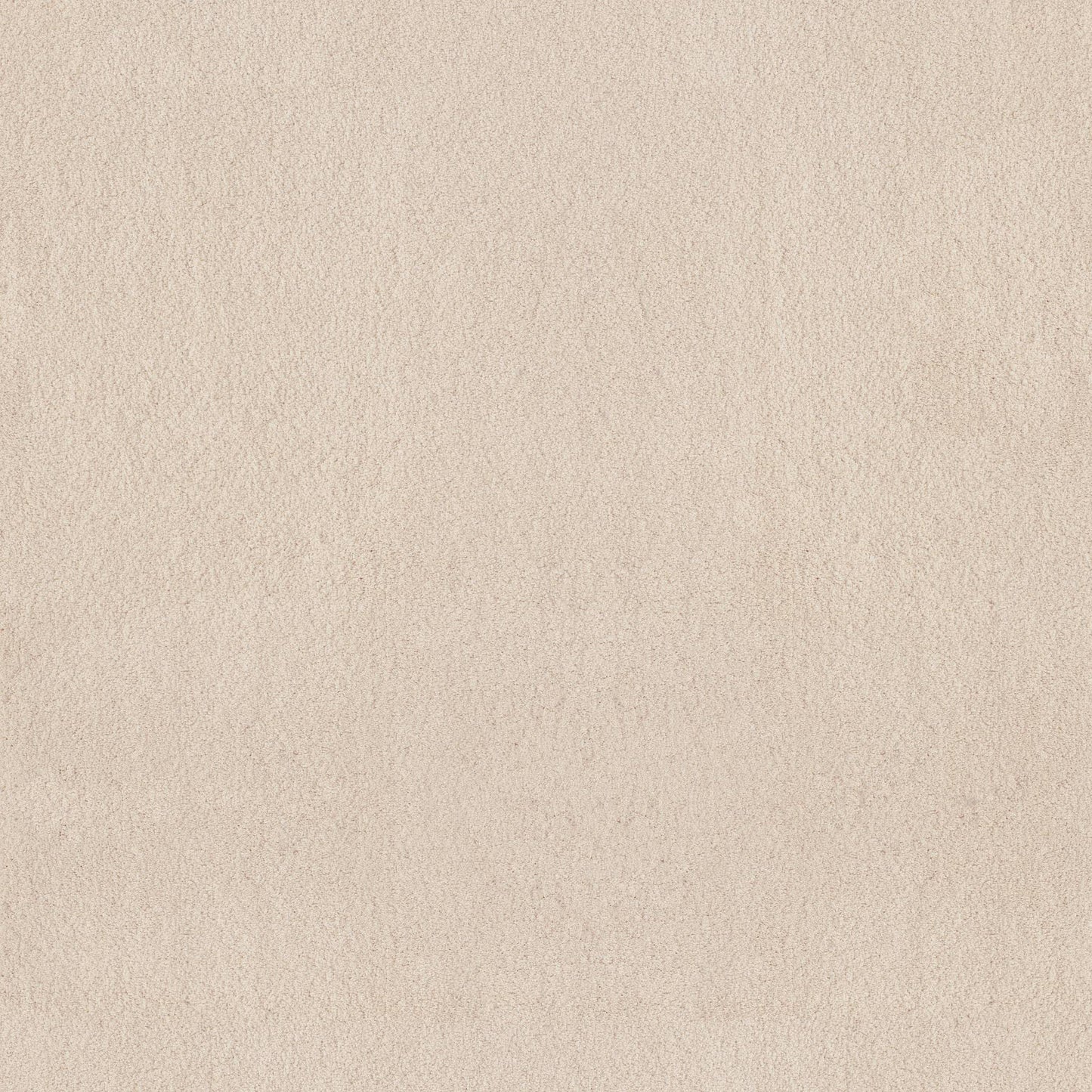 TEXTURE BCF