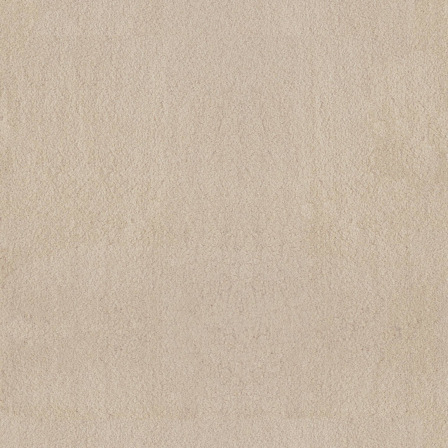 TEXTURE BCF