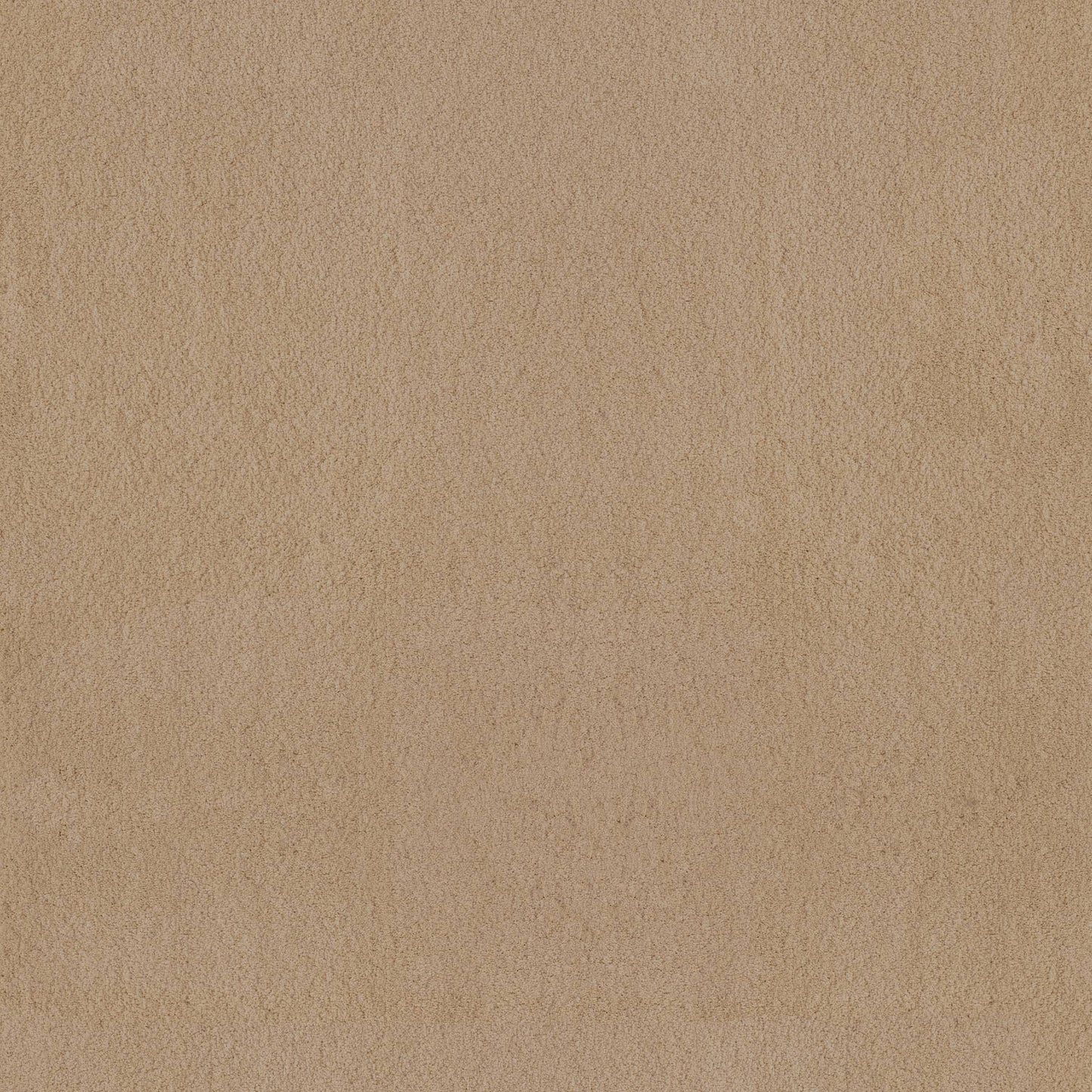 TEXTURE BCF