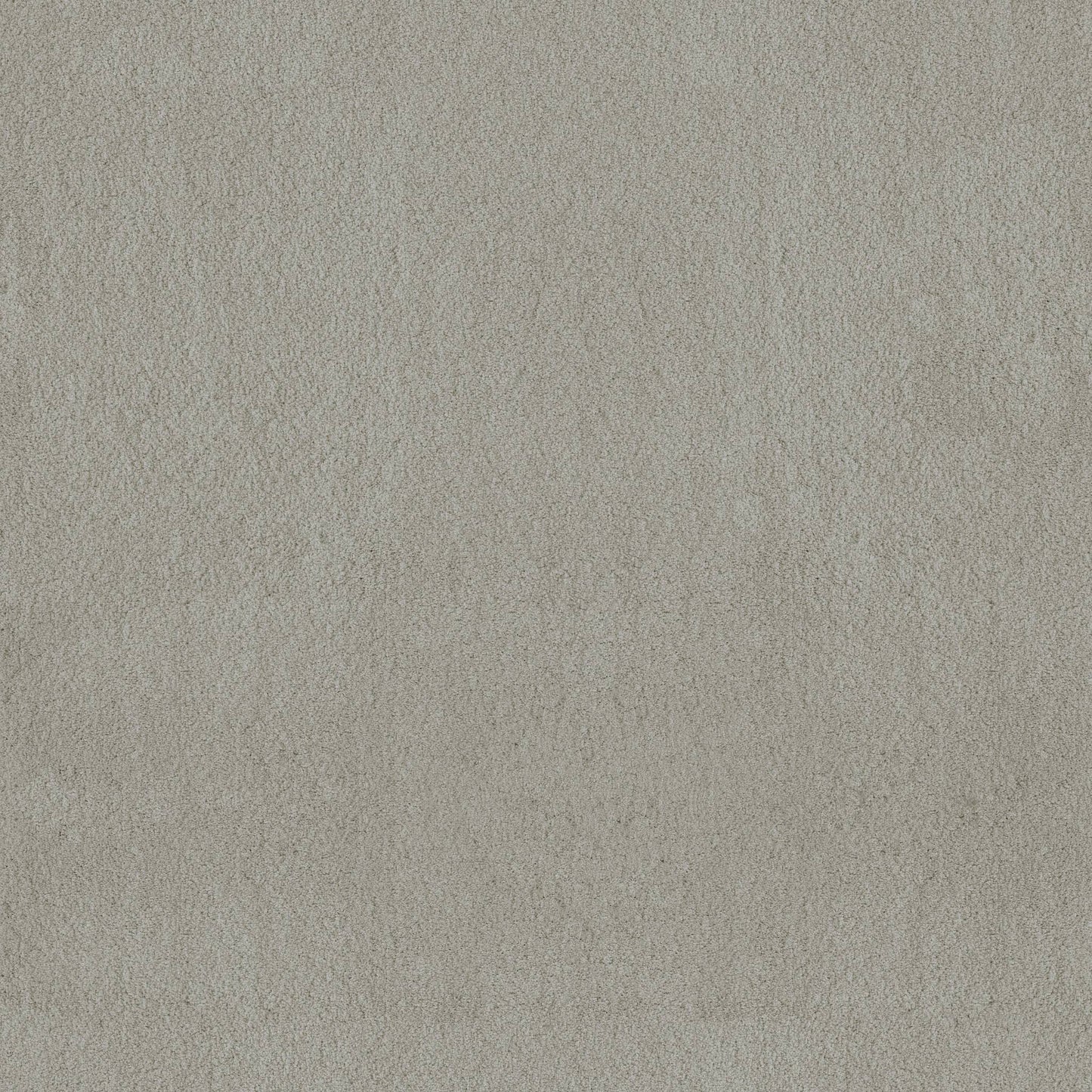 TEXTURE BCF