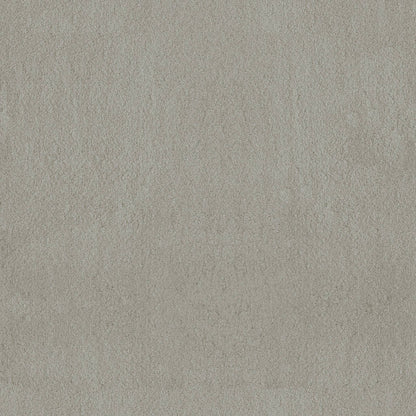 TEXTURE BCF