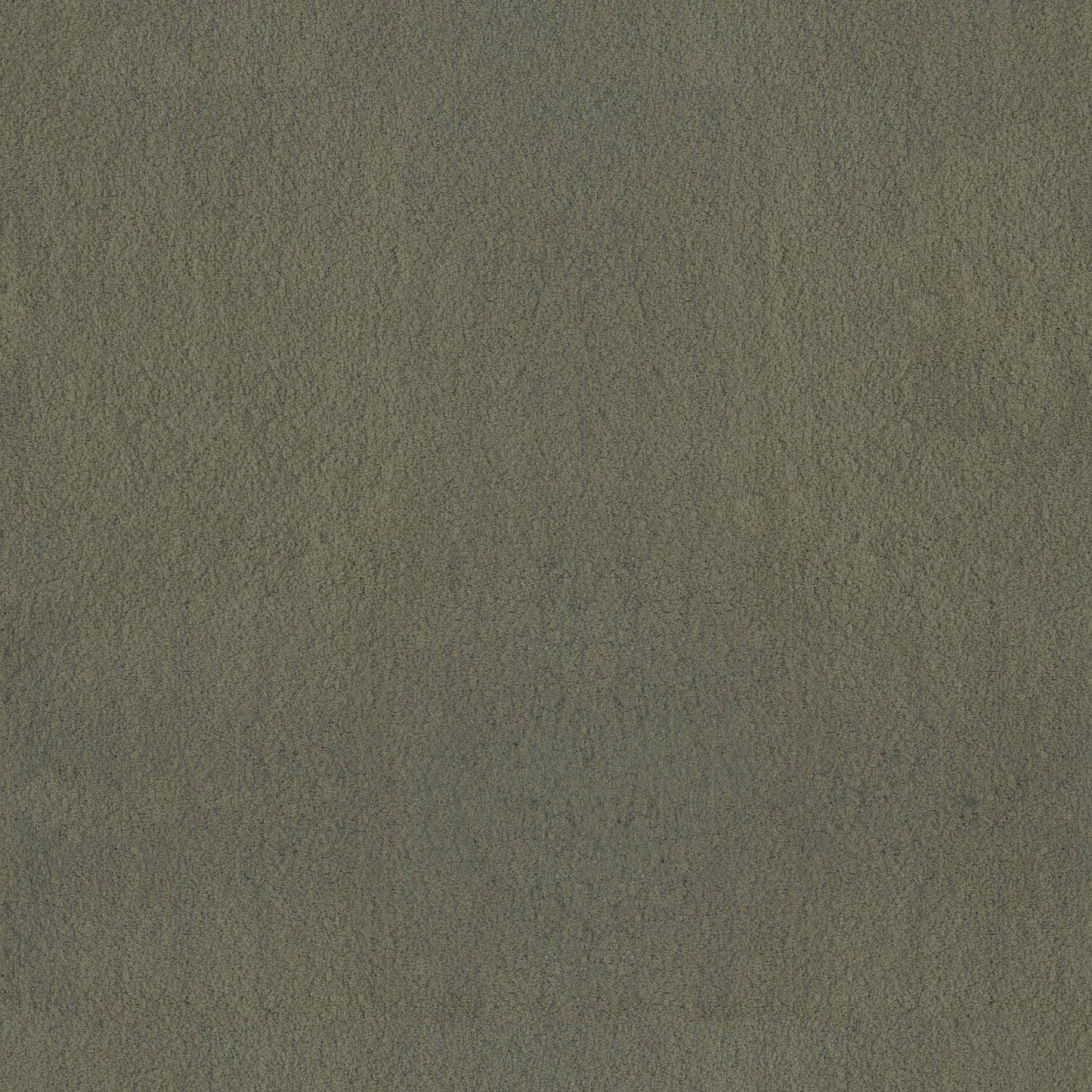 TEXTURE BCF