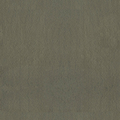 TEXTURE BCF