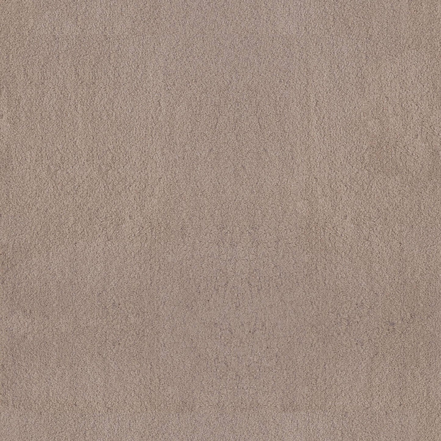 TEXTURE BCF