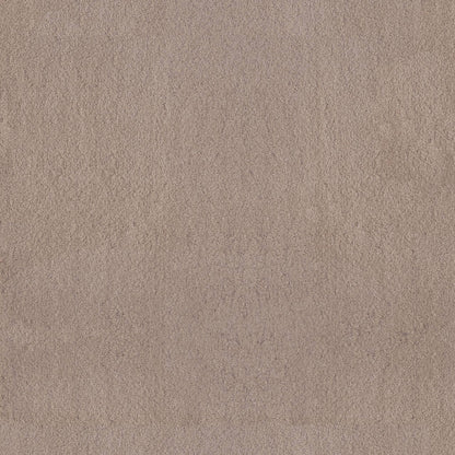 TEXTURE BCF
