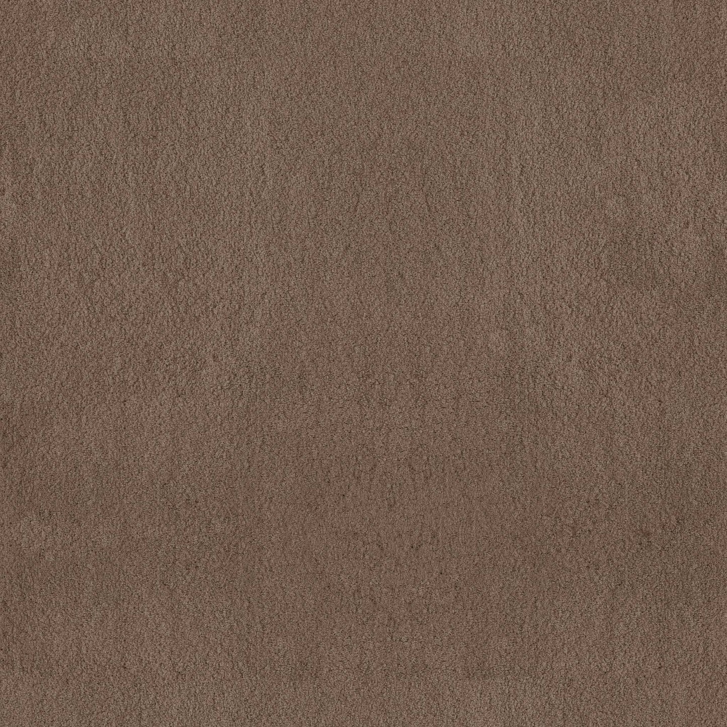TEXTURE BCF