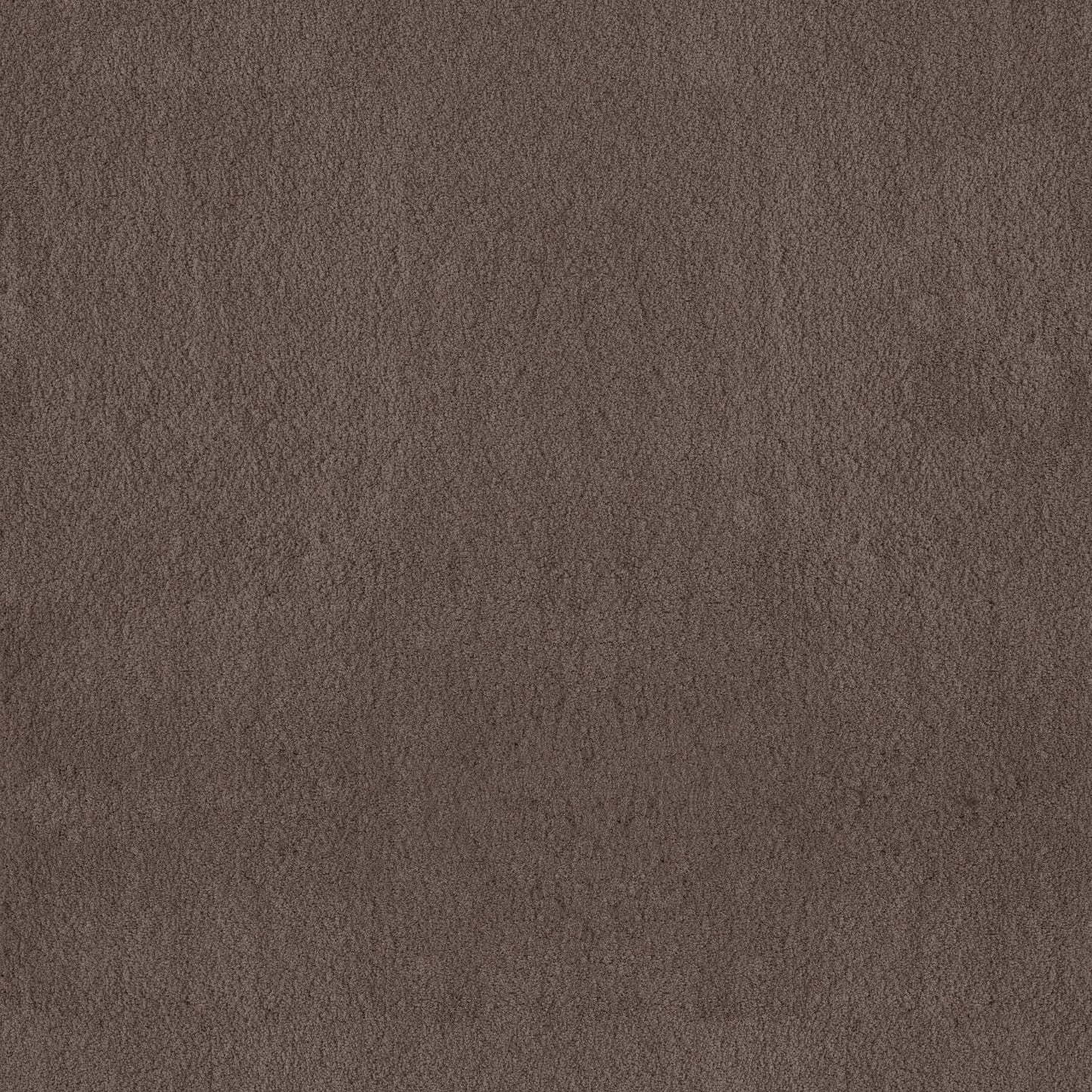 TEXTURE BCF