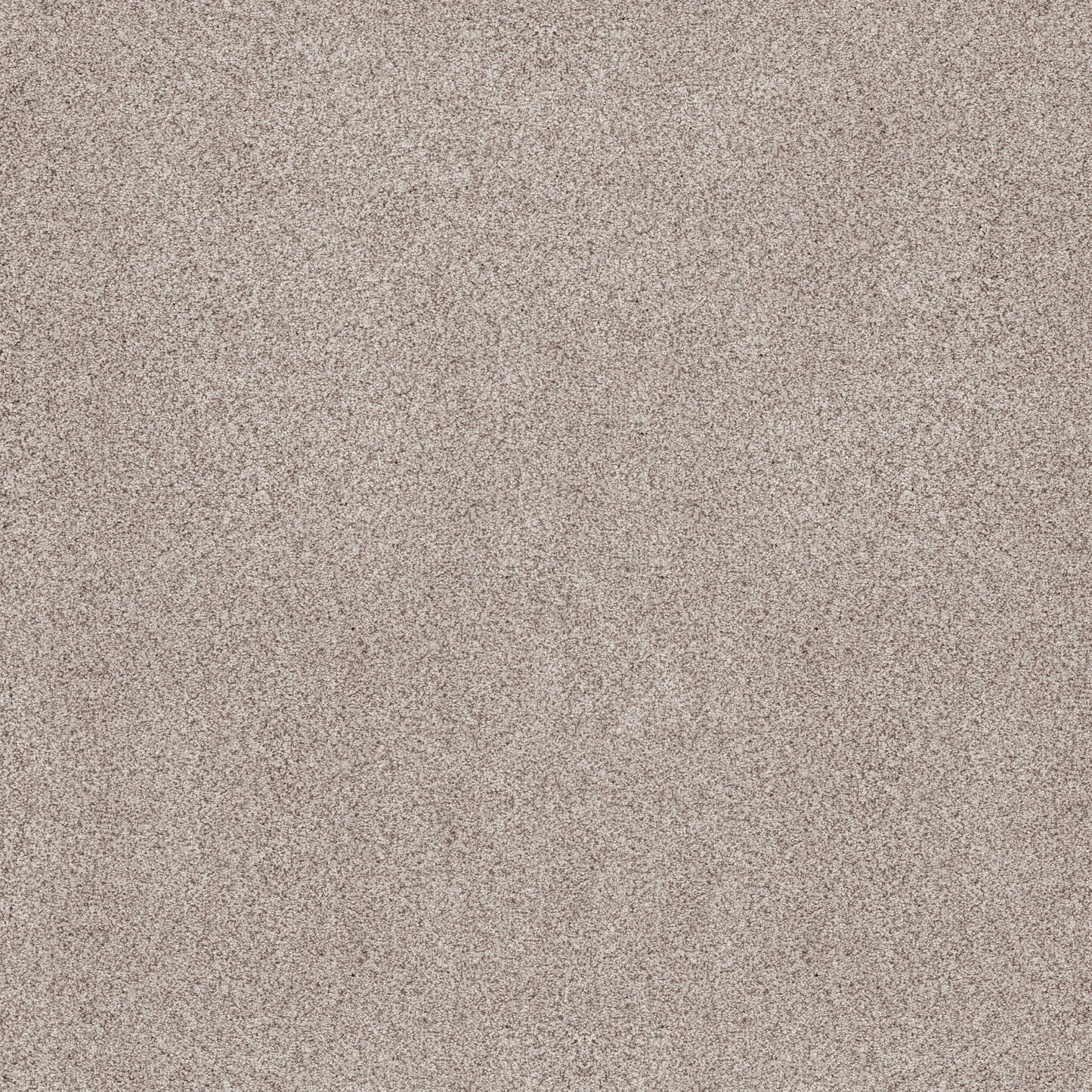 BERBER CUT PILE