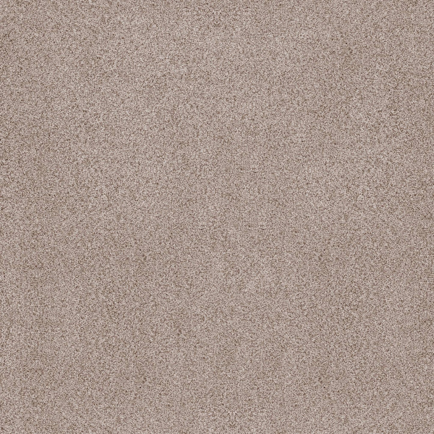 BERBER CUT PILE