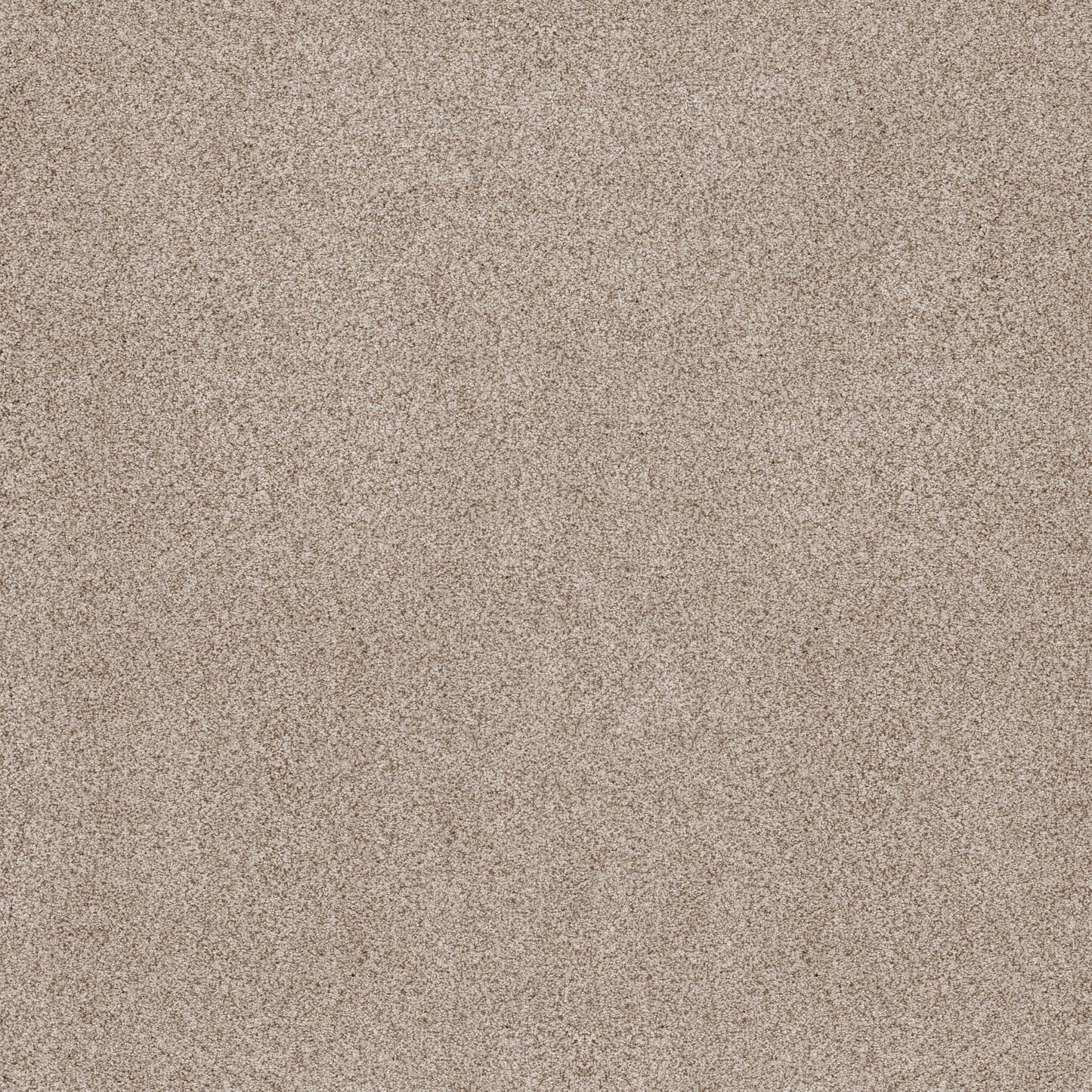 BERBER CUT PILE