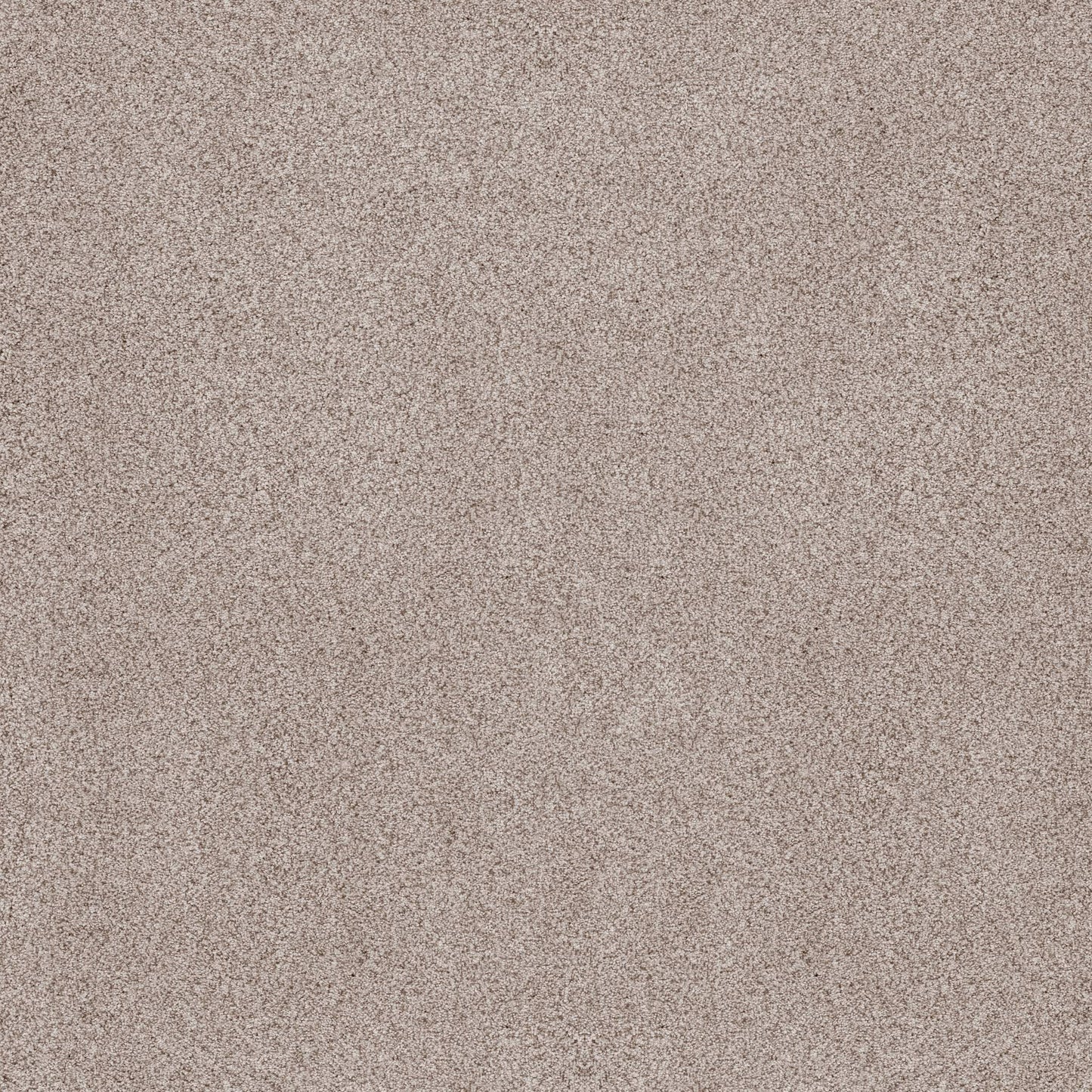 BERBER CUT PILE