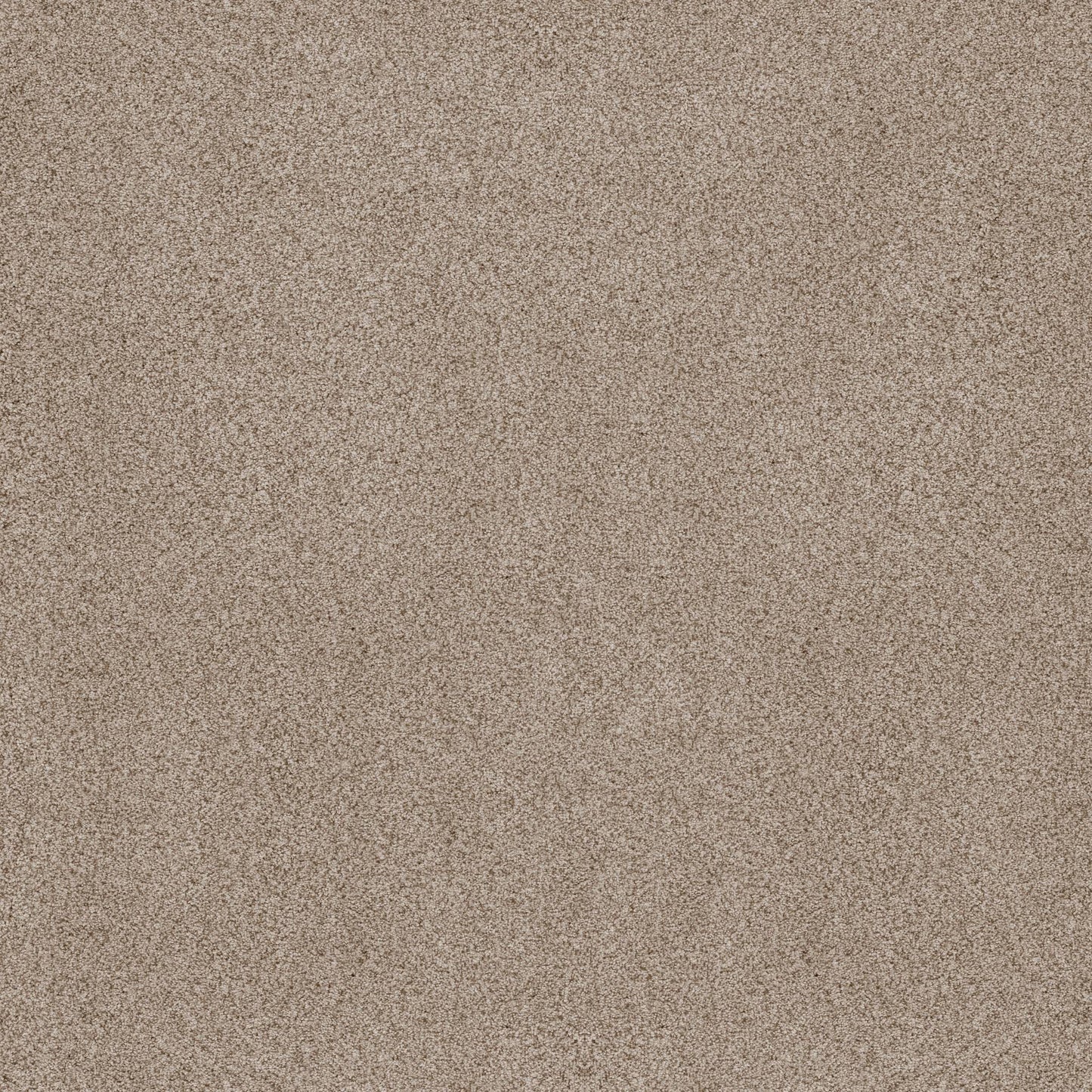 BERBER CUT PILE