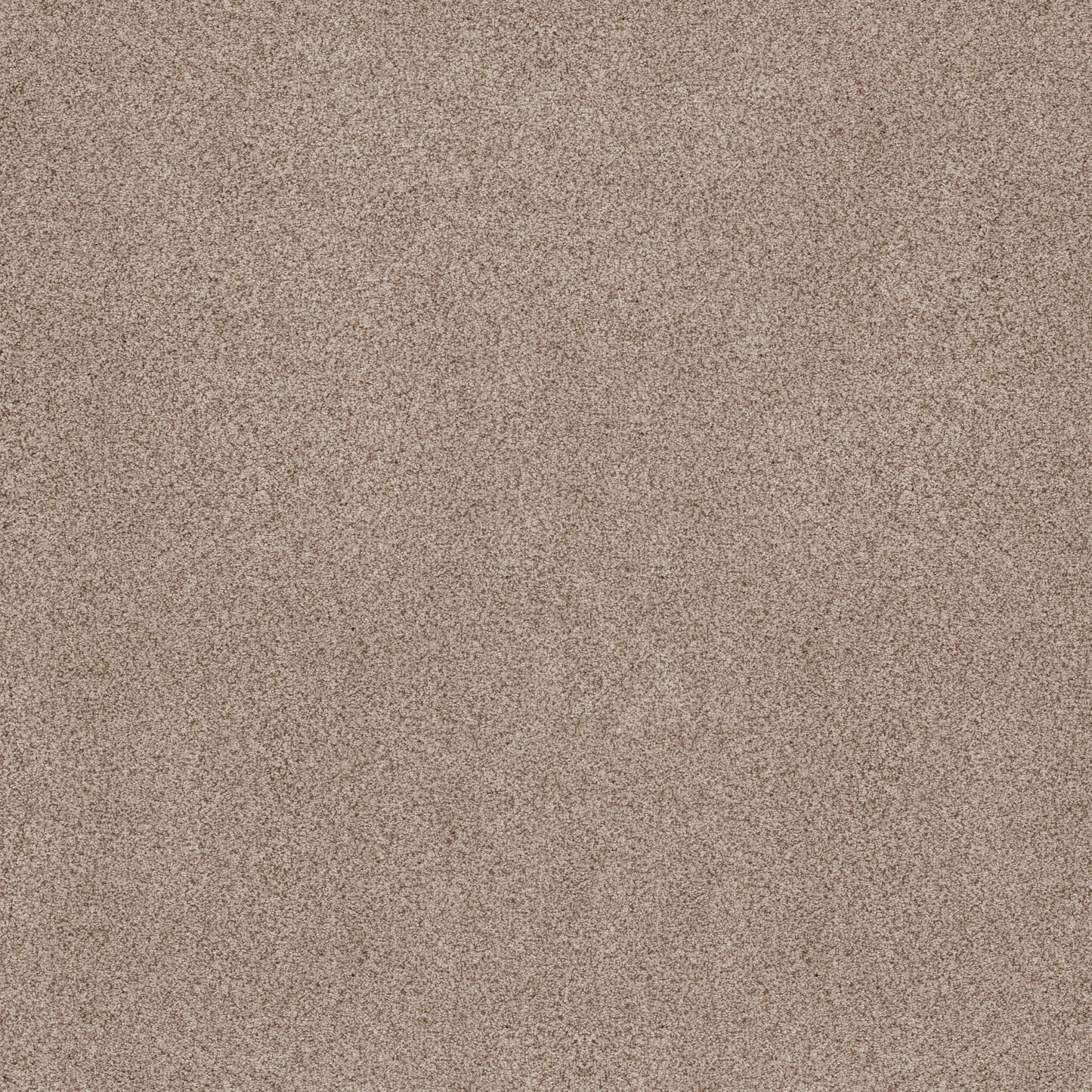BERBER CUT PILE