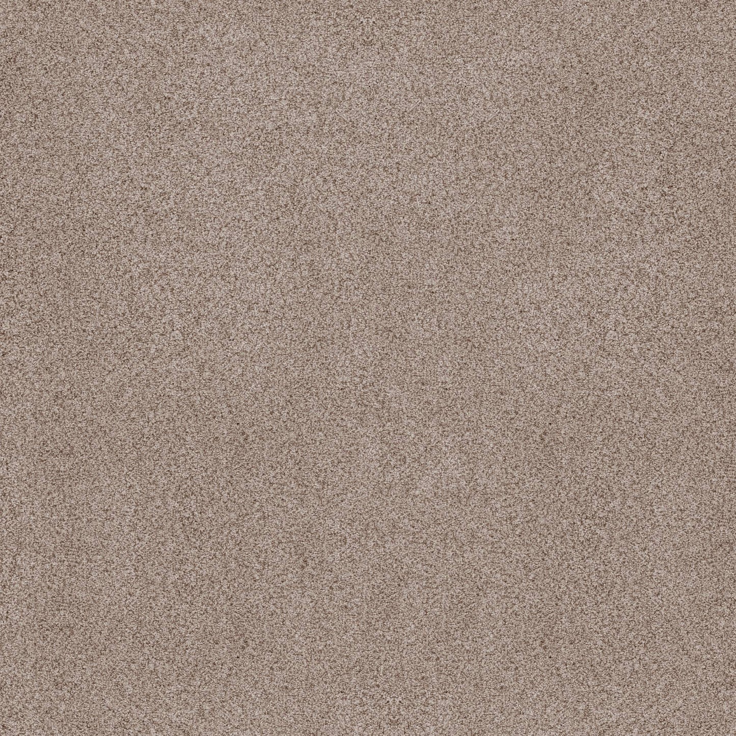 BERBER CUT PILE