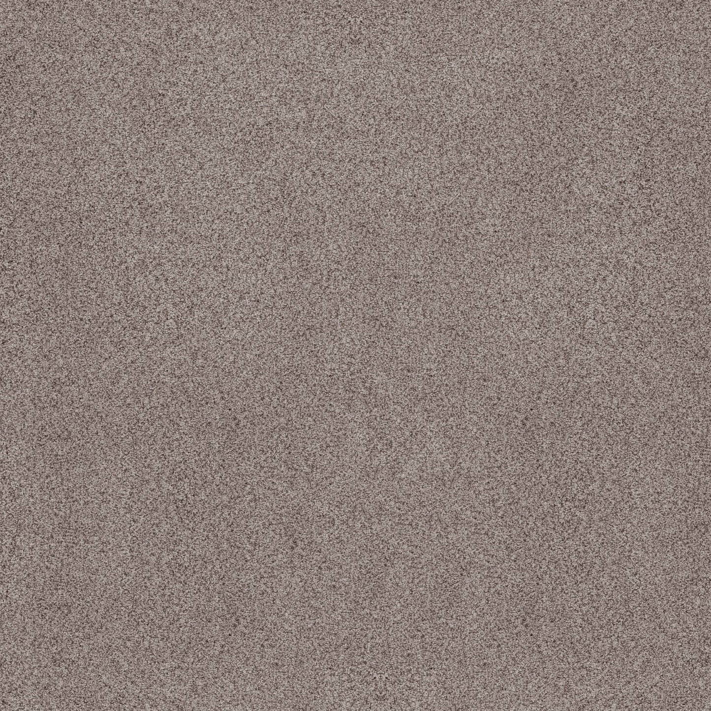 BERBER CUT PILE