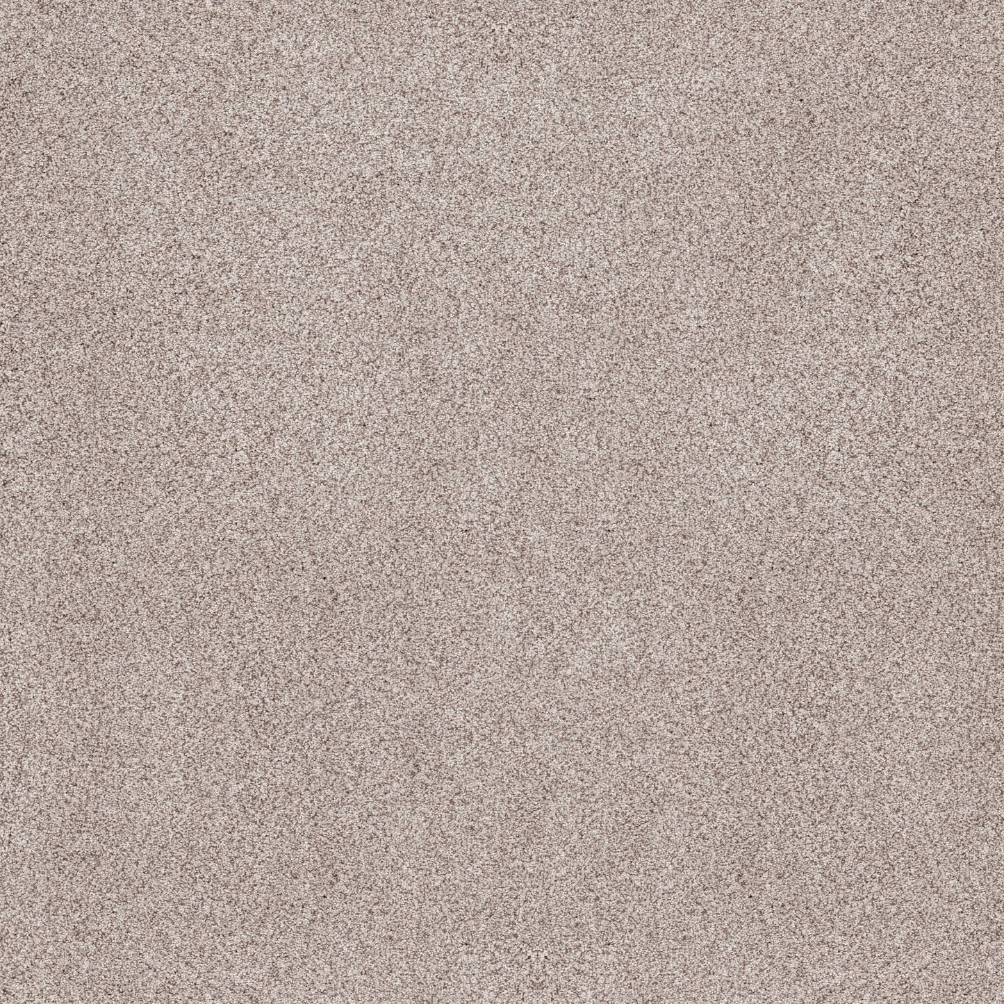BERBER CUT PILE