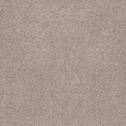BERBER CUT PILE