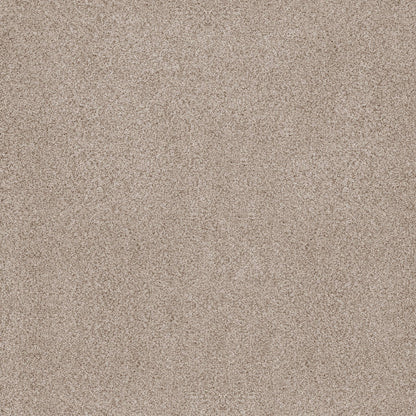 BERBER CUT PILE