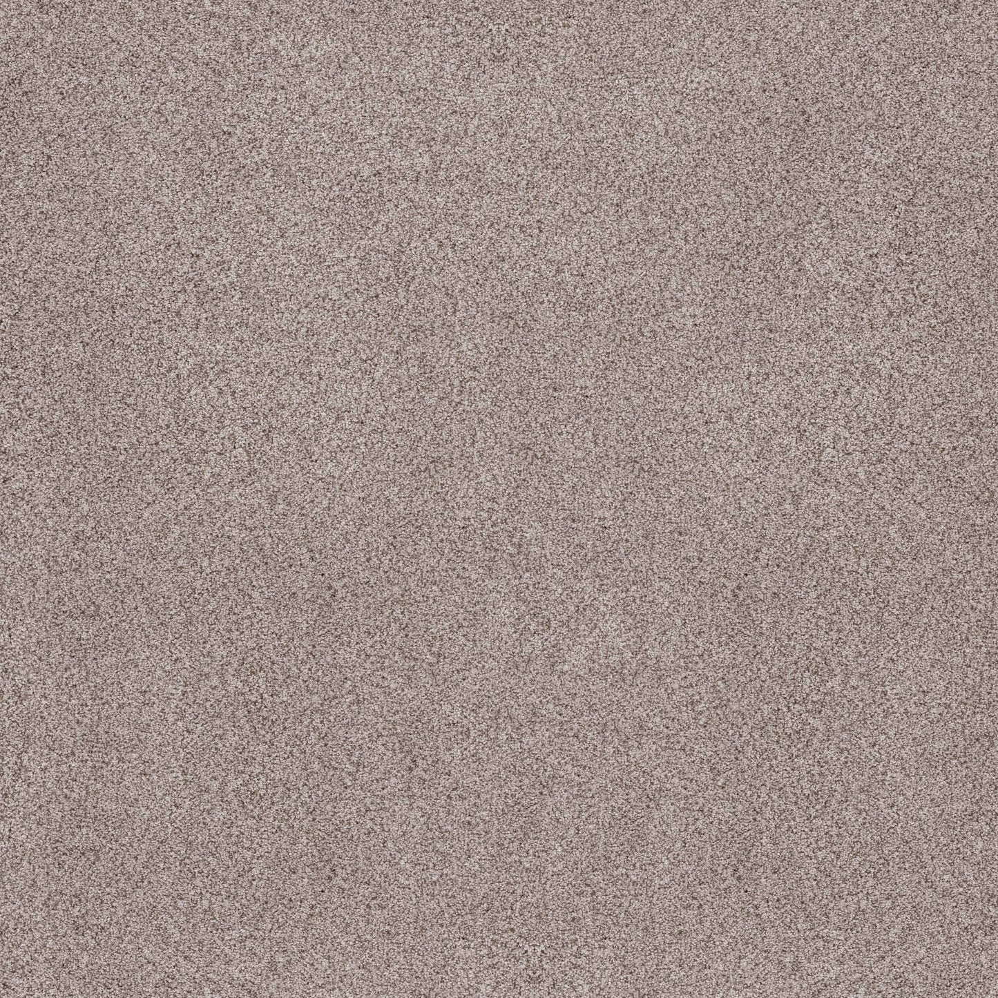 BERBER CUT PILE