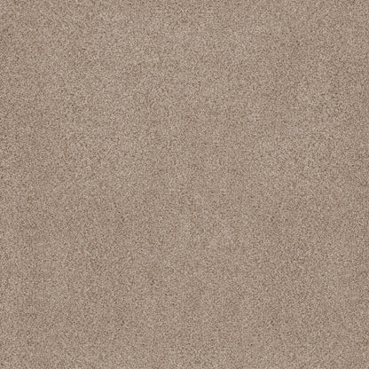 BERBER CUT PILE