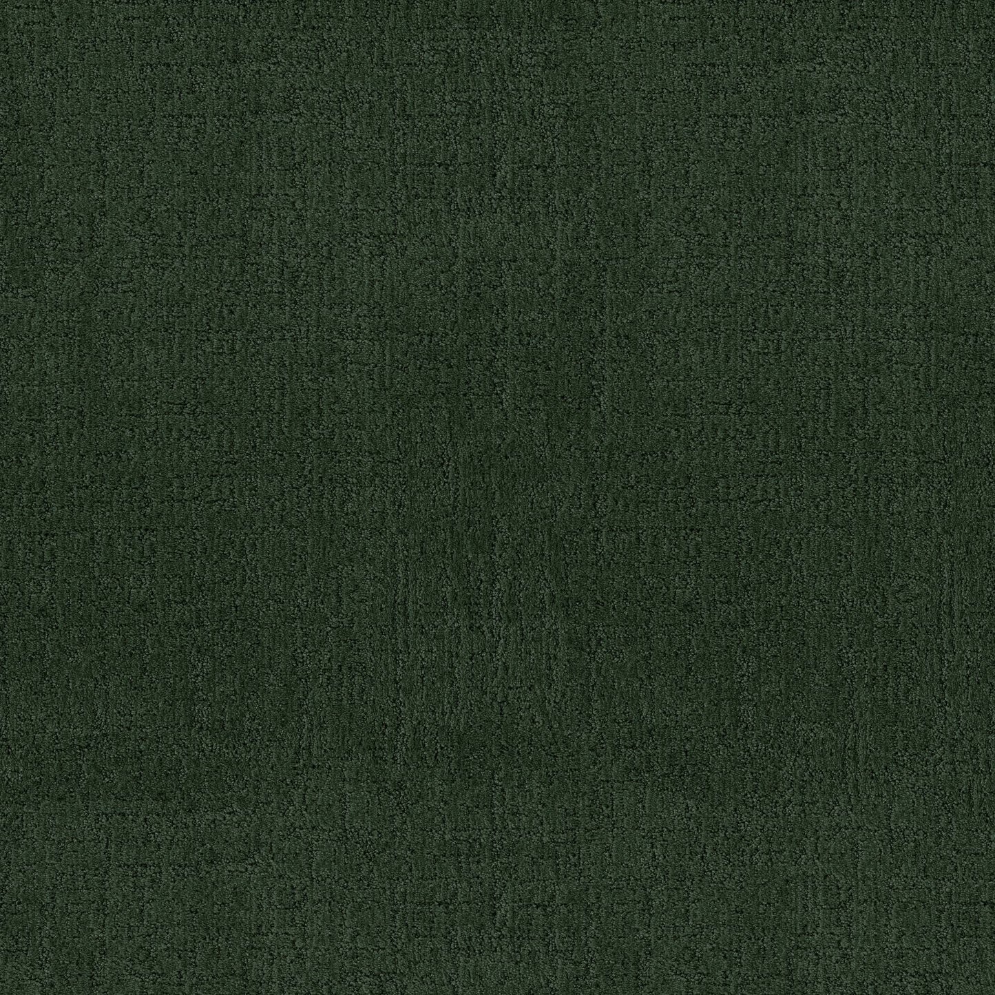 CUT UNCUT  R