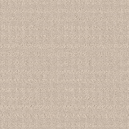 BERBER NYLON LOOP