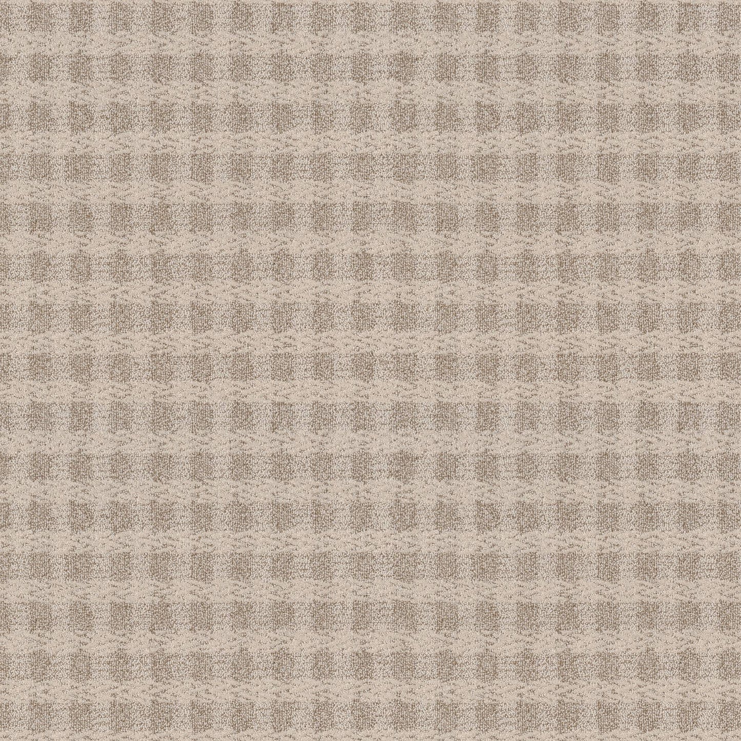 BERBER NYLON LOOP