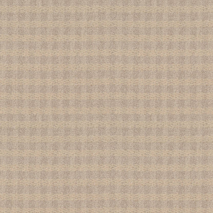 BERBER NYLON LOOP