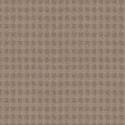 BERBER NYLON LOOP