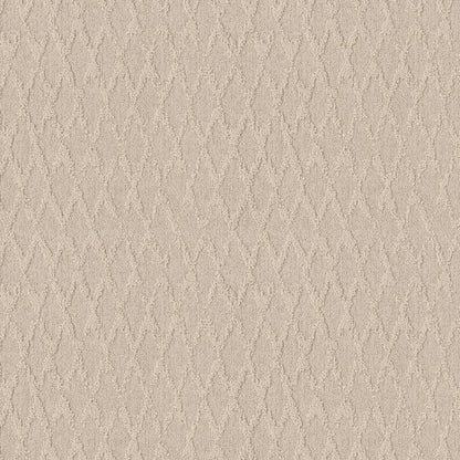 BERBER NYLON LOOP