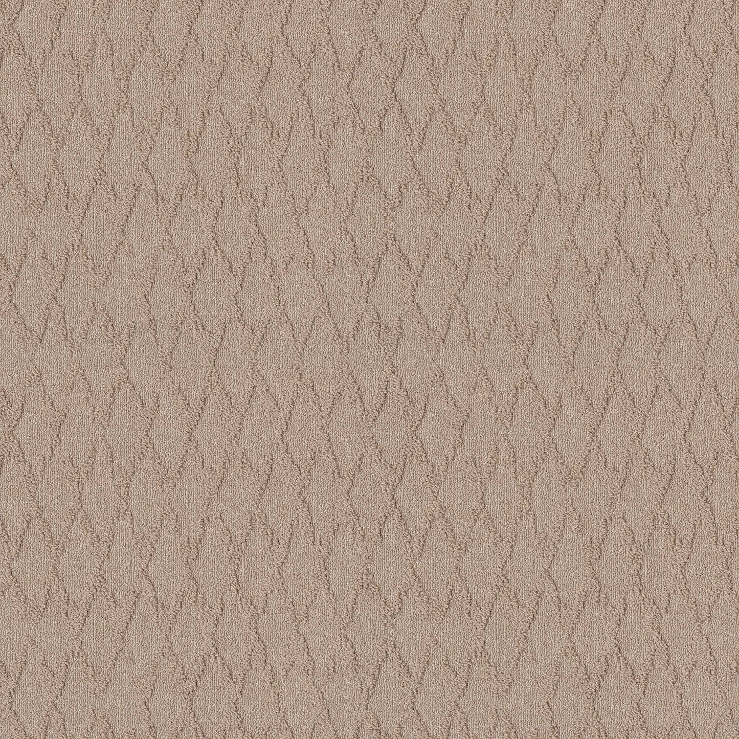BERBER NYLON LOOP