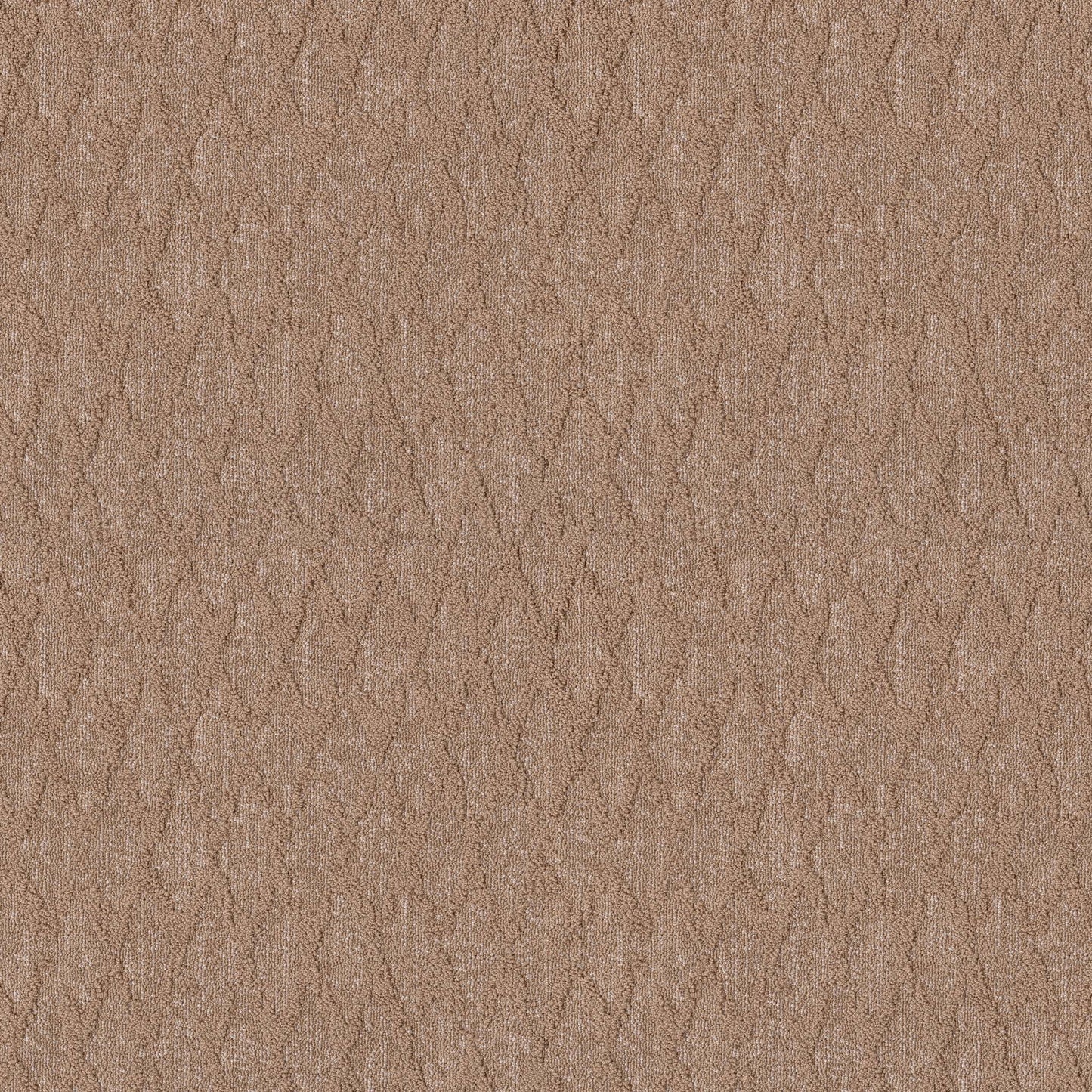 BERBER NYLON LOOP
