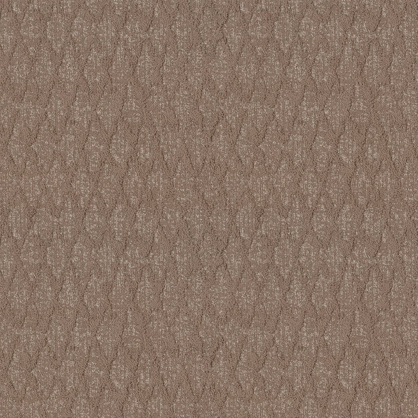 BERBER NYLON LOOP