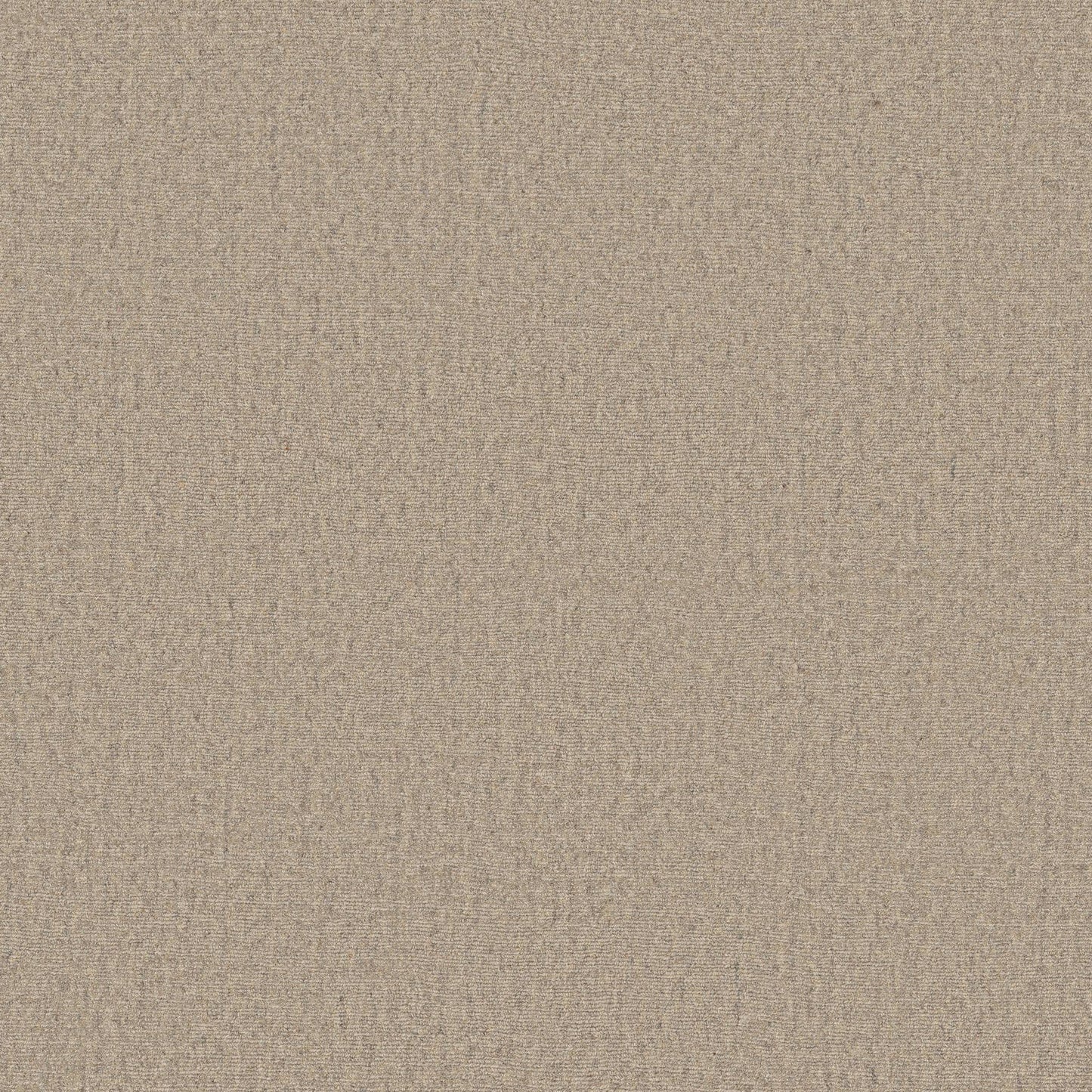 KALEEN WOOL