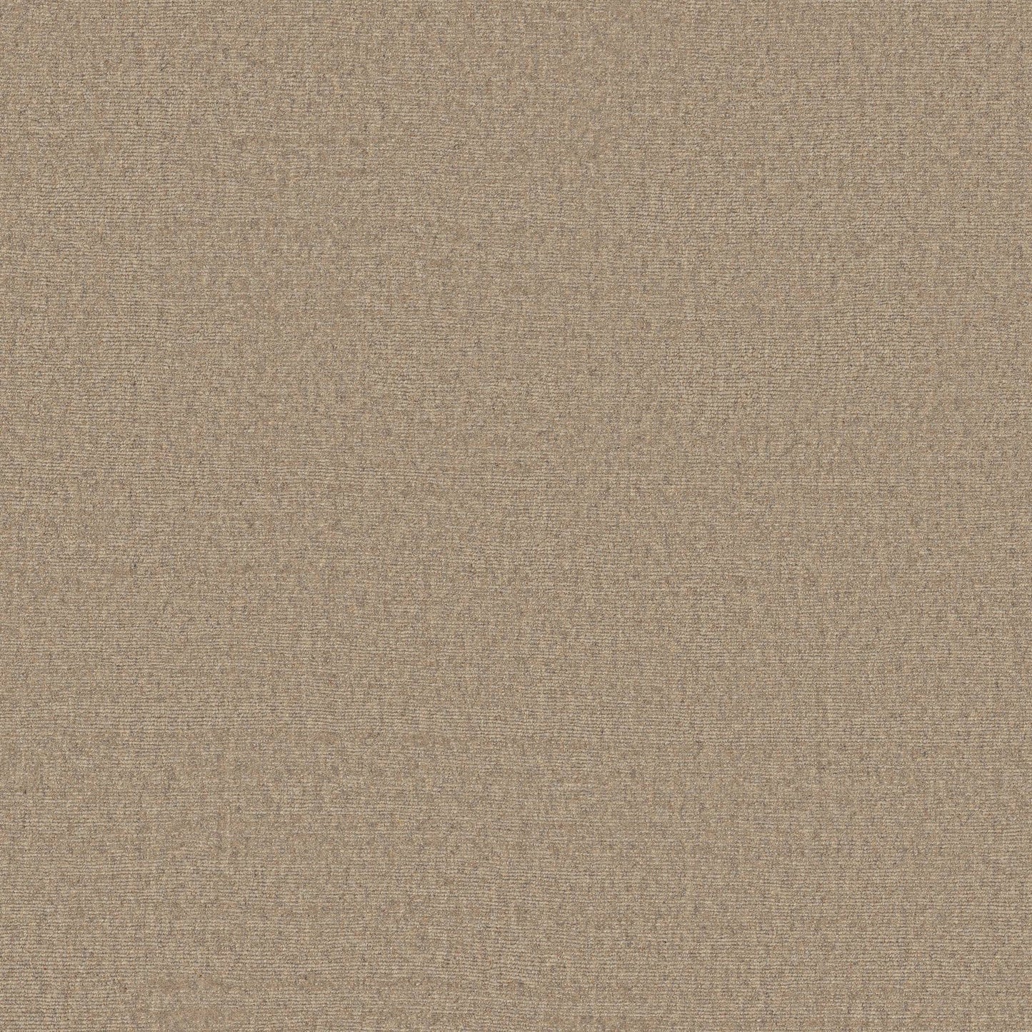 KALEEN WOOL