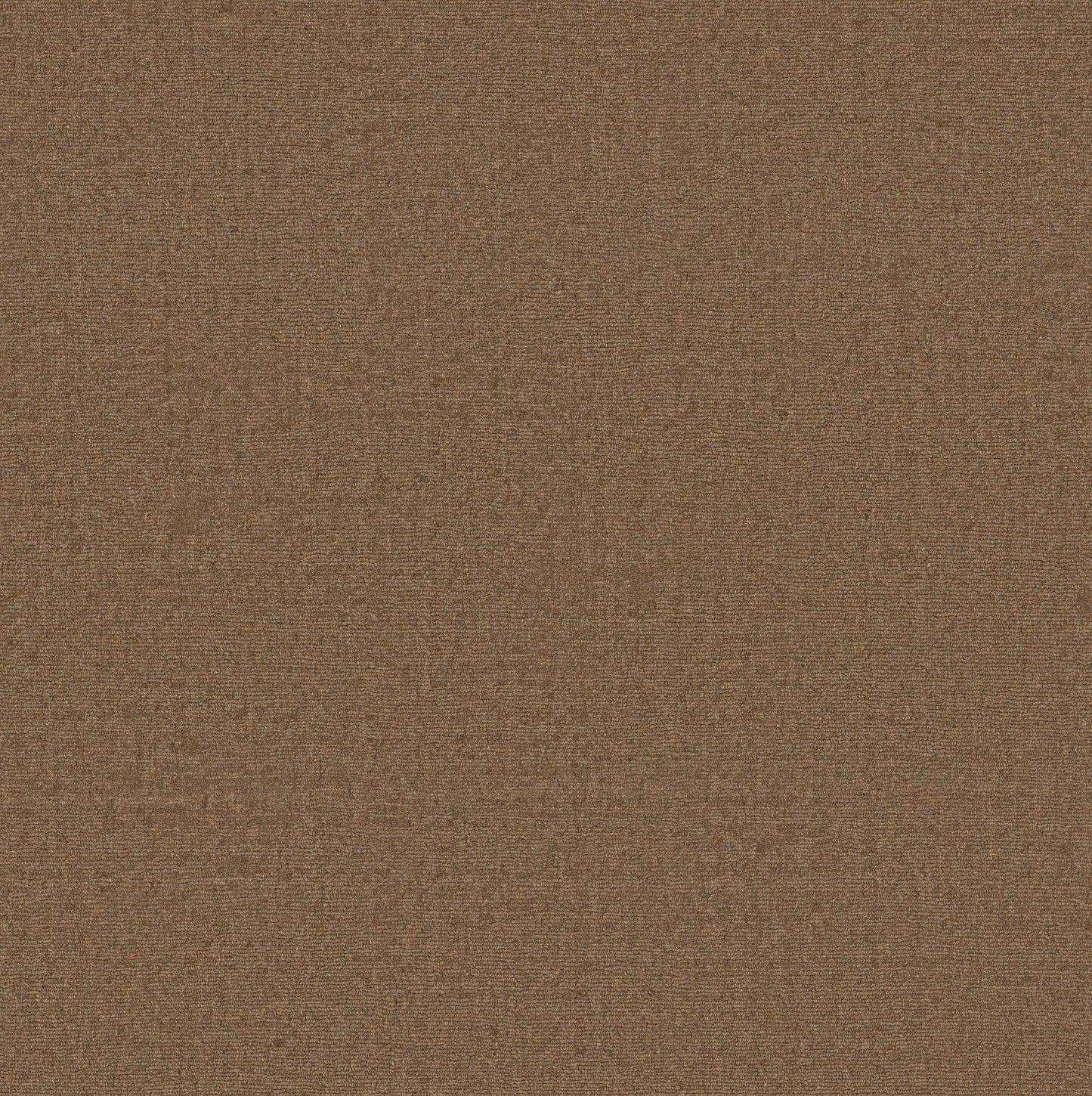 KALEEN WOOL
