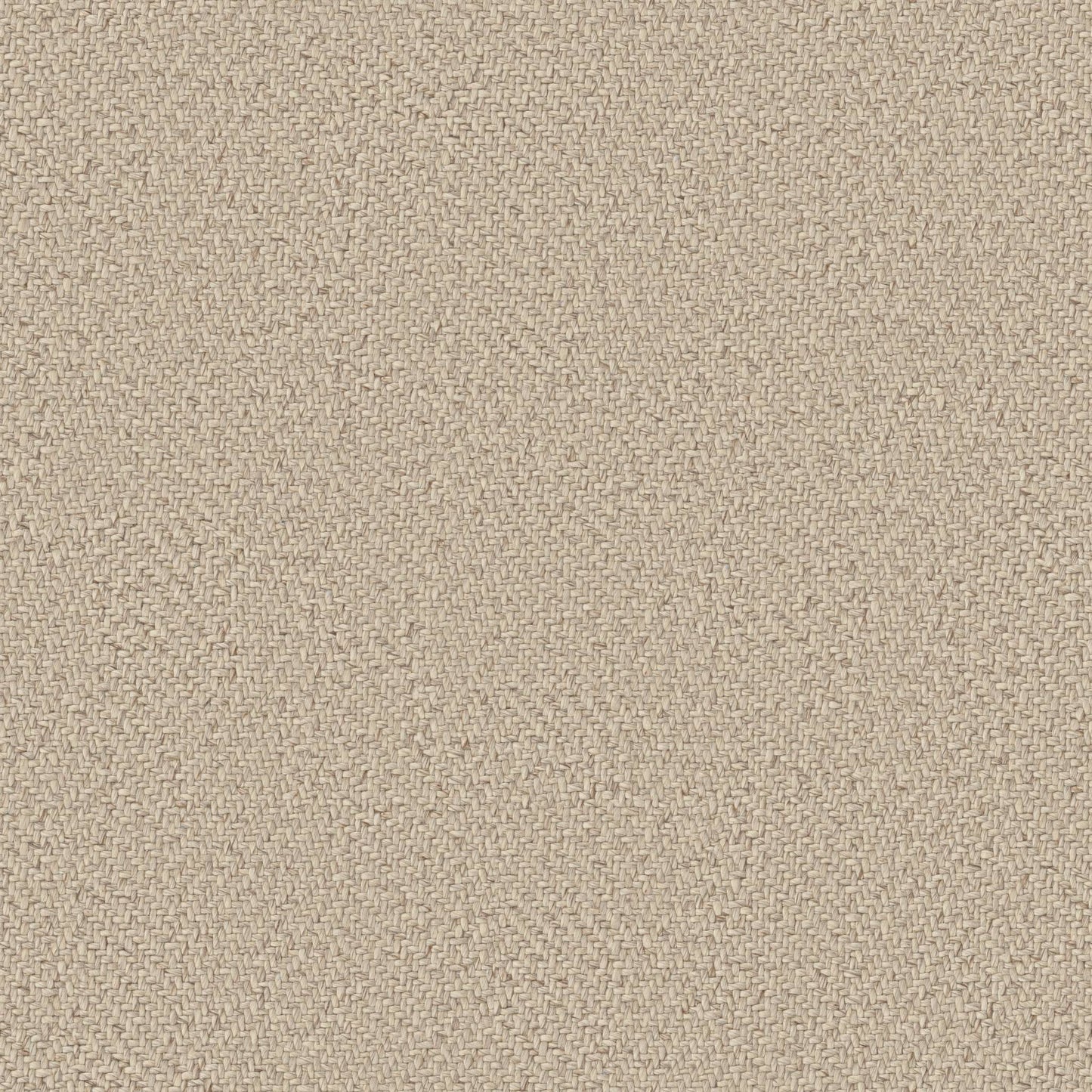 KALEEN WOOL