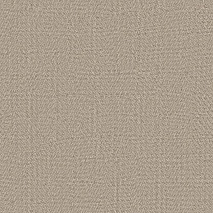 KALEEN WOOL