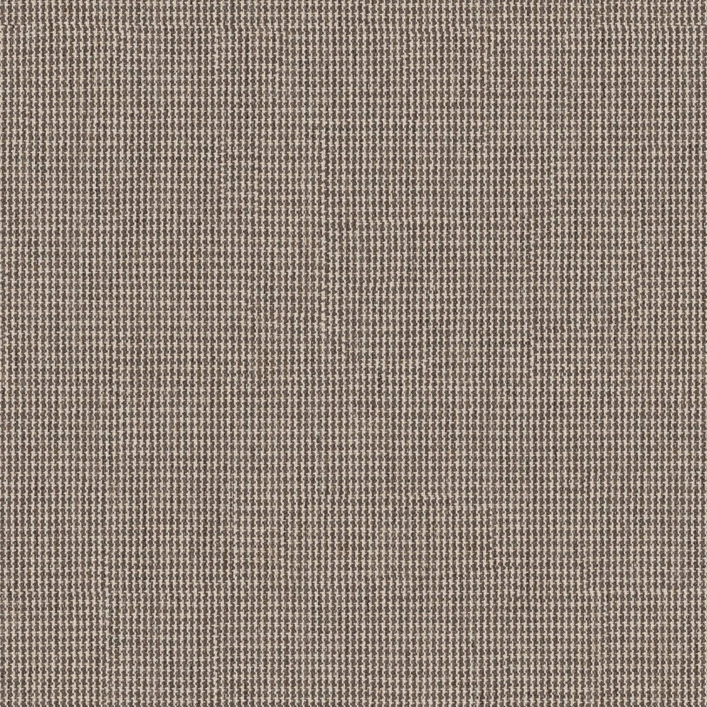 KALEEN WOOL