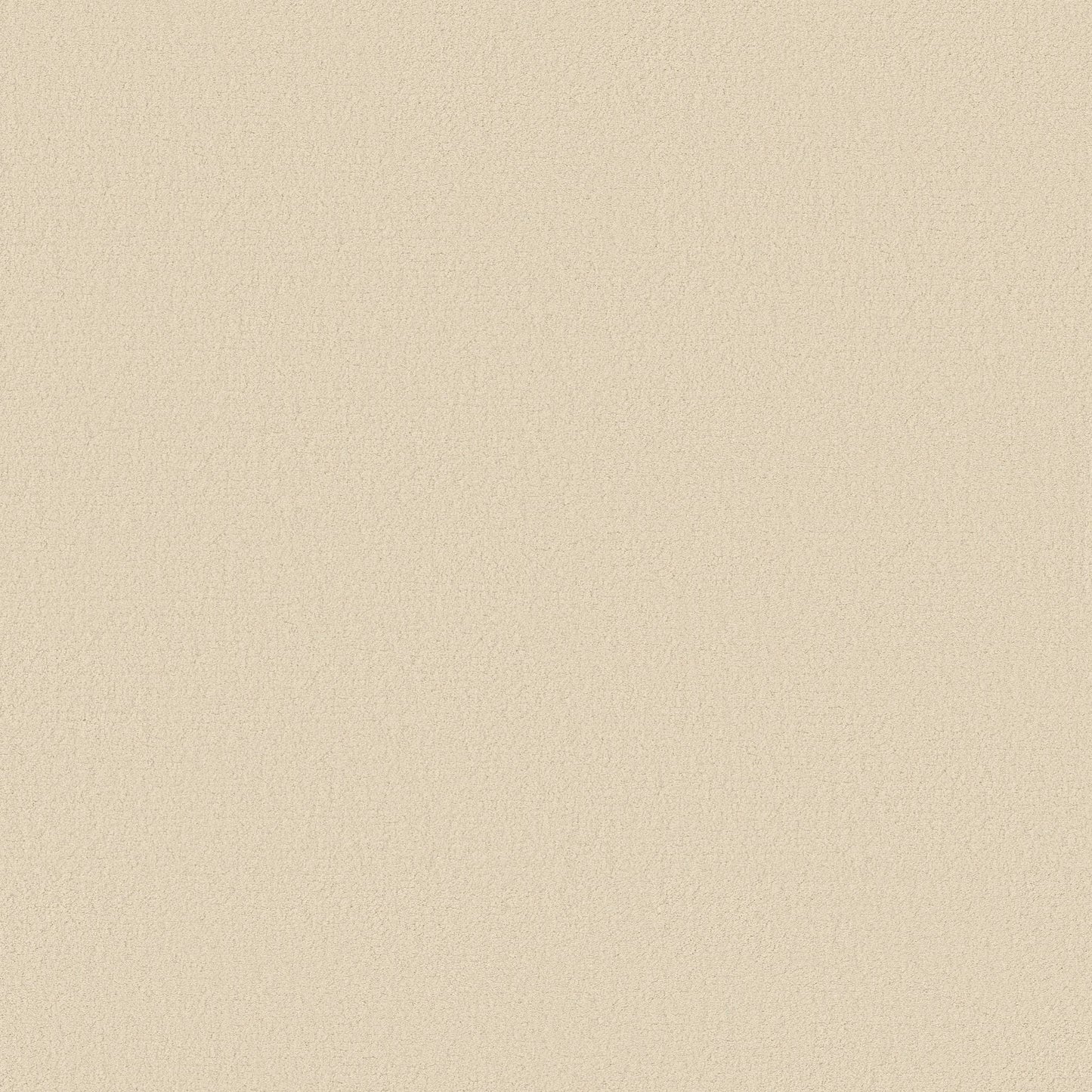 TEXTURE BCF