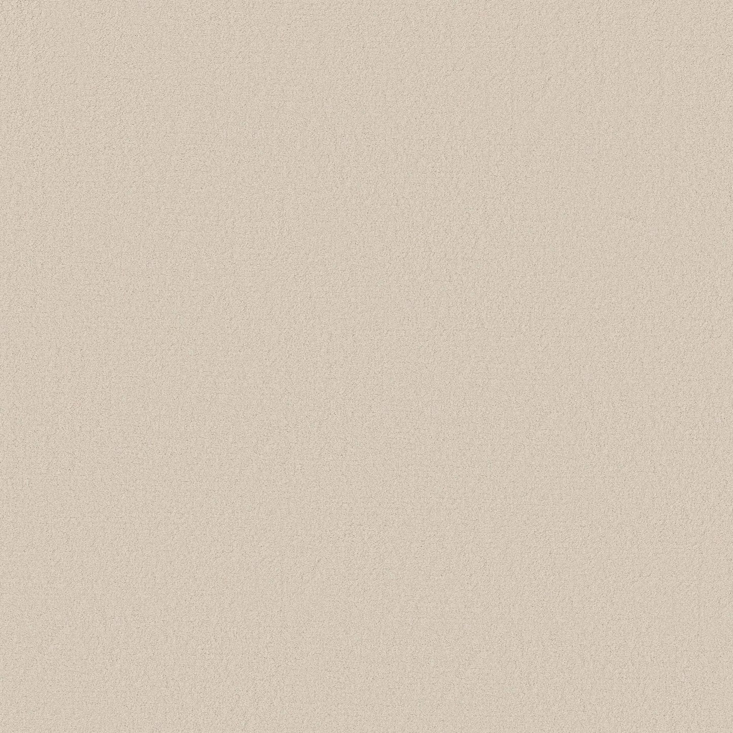TEXTURE BCF