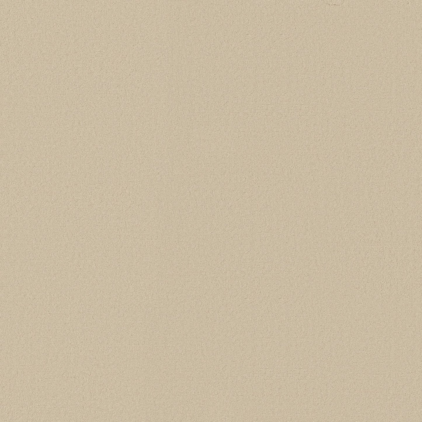 TEXTURE BCF