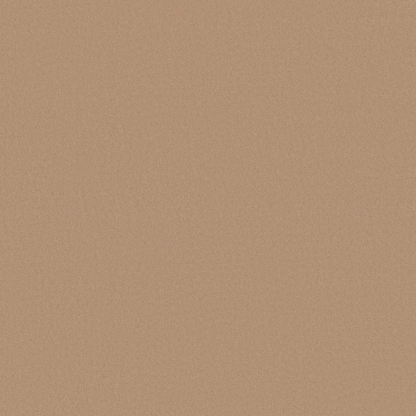 TEXTURE BCF