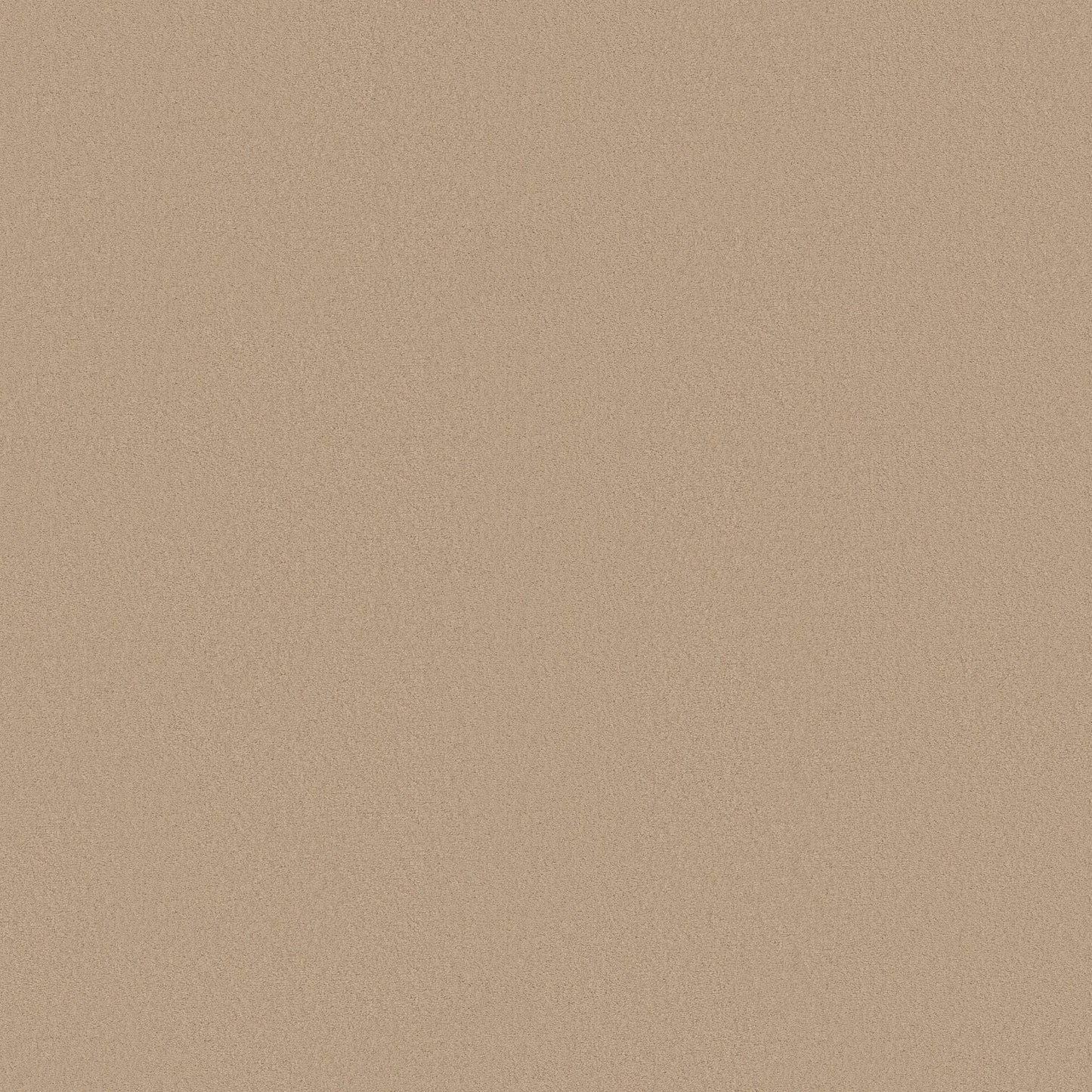 TEXTURE BCF