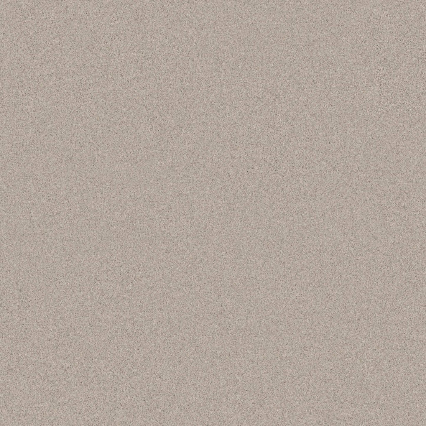 TEXTURE BCF