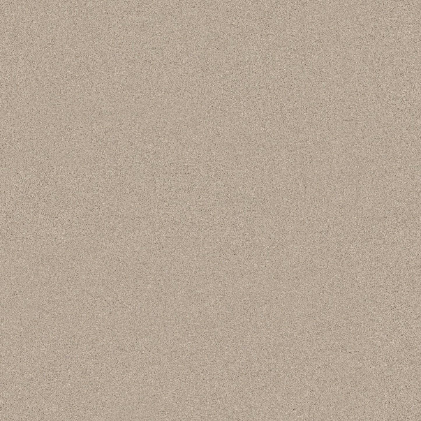 TEXTURE BCF