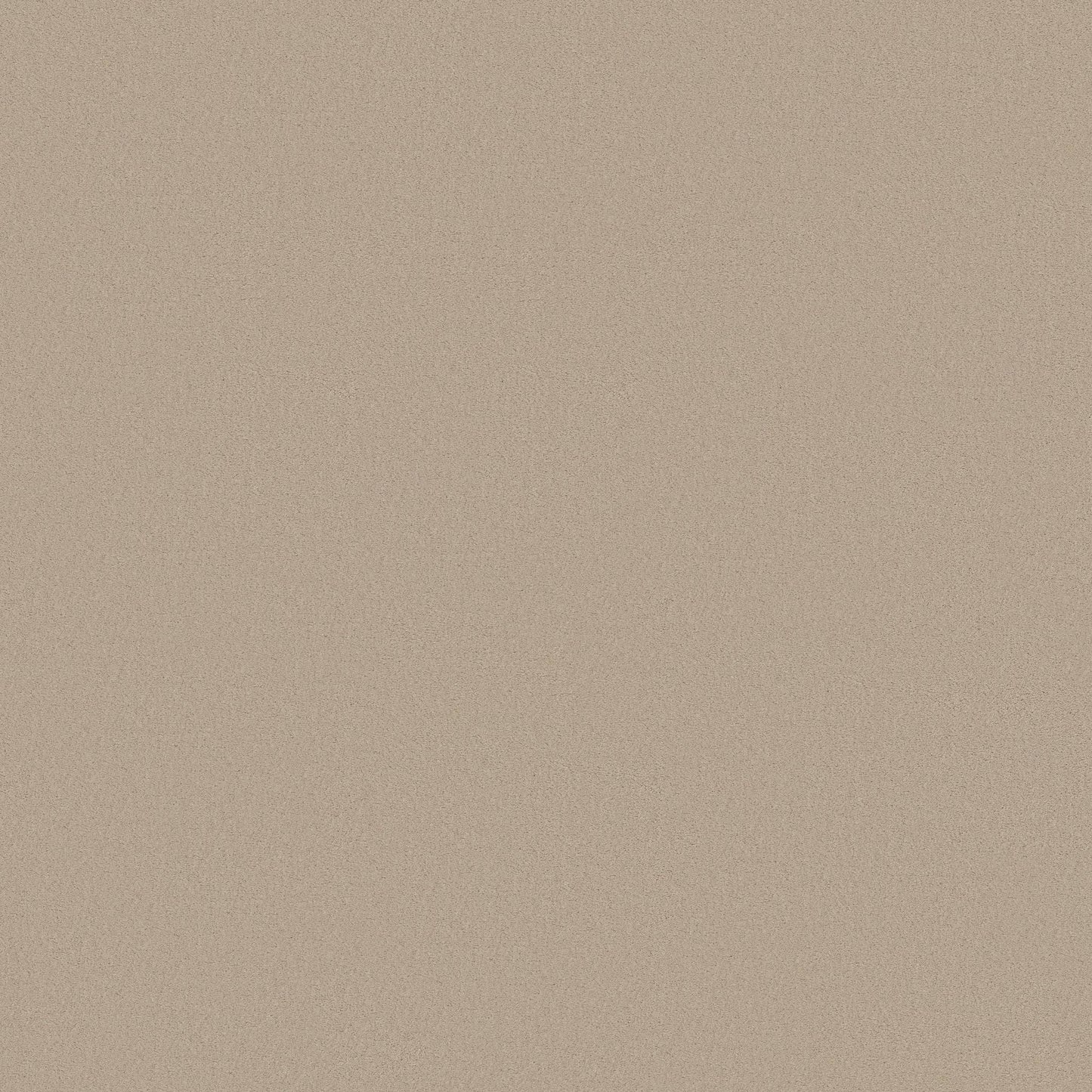 TEXTURE BCF