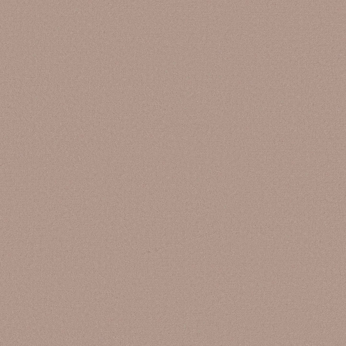 TEXTURE BCF