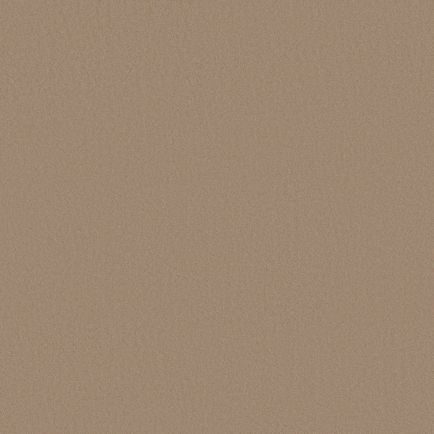 TEXTURE BCF