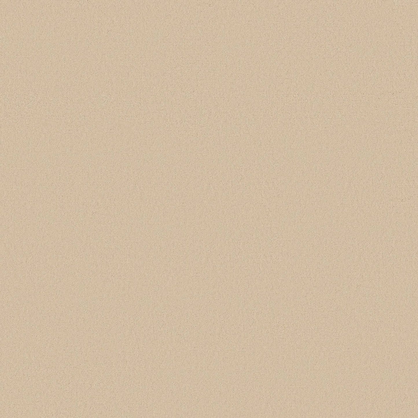 TEXTURE BCF